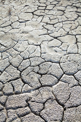 Cracked dry ground