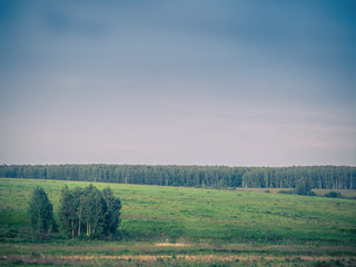 Obraz premium european evening wild field landscape