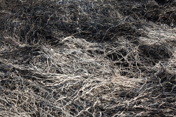 Burnt grass