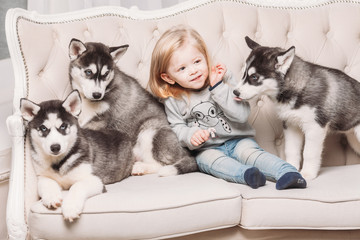 blonde girl with Husky puppies