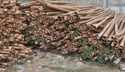 A pile of cut bamboo wood for construction ( texture, background, pattern)