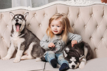 blonde girl with Husky puppies