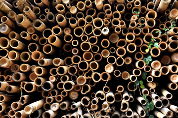 A pile of cut bamboo wood for construction ( texture, background, pattern)