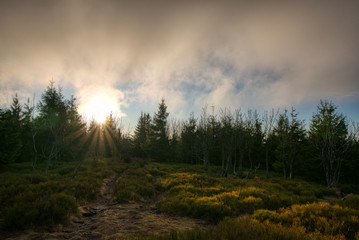 Fototapeta na wymiar sunset view from Spruce mountain , czech beskydy smrk