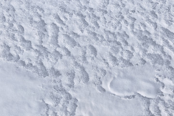 Snow texture after the storm