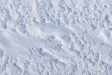 Snow texture after the storm