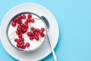 Bowl of yogurt with fresh fruit.