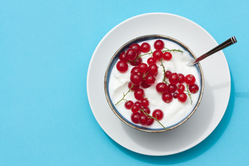 Bowl of yogurt with fresh fruit.