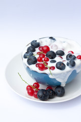 Bowl of yogurt with fresh fruit.
