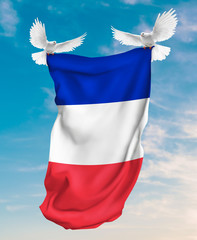 France flag carried by white pigeon with sky background
