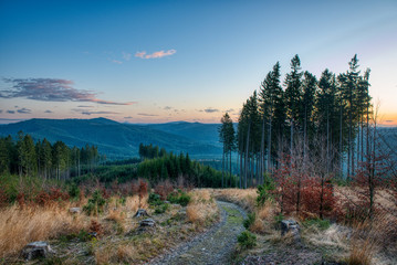 Fototapeta na wymiar forest road after sunset in the mountains , czech beskydy