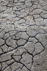 Cracked dry ground