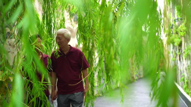 Asian old couple holding hand walking through green willow tree happy together