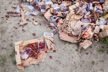 Rotten strawberries on the landfill