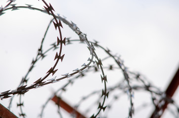 Blurred razor wire mesh sky background