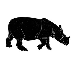 Bornean Rhino (Dicerorhinus sumatrensis harrissoni) isolated on white background