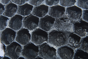 close up shot of Vespirary Or Wasp beetle nest texture background. Grey And Brown Texture.