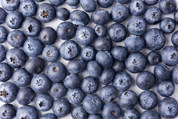 Blueberry background
