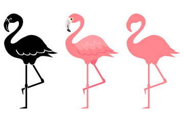 Flamingo, pink flamingo silhouette. Cartoon illustration of a flamingo. Vector illustration. - obrazy, fototapety, plakaty