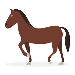 Horse, cartoon horse of brown color. Vector illustration