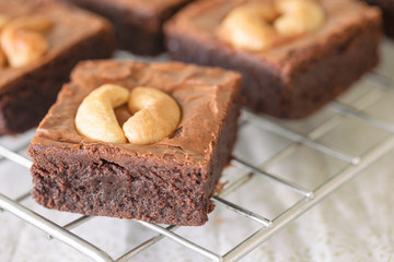 Fresh baked dark chocolate fudge brownies topping with cashew nut on rack in close up view.Delicious taste bitter sweet, chewy and fudgy. Brownie is one type of chocolate cake. Homemade bakery concept