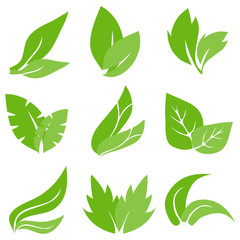 Tree leaves, realistic green leaves. Cartoon leaves. Flat design