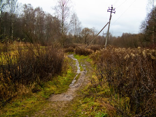 the shore of a small river in autumn, Moscow oblast.