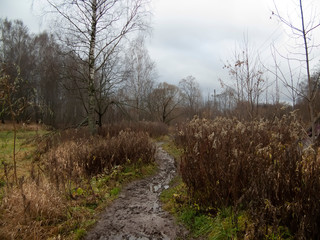 the shore of a small river in autumn, Moscow oblast.
