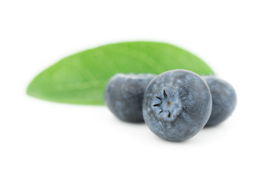 blueberries isolated on white background