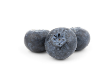 blueberries isolated on white background