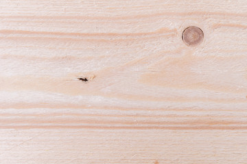 Wood Background Texture
