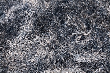Burnt grass