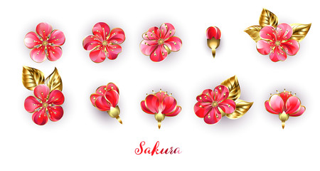 Set of red sakura flowers