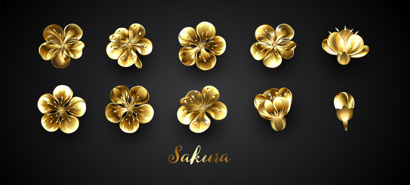 Set of golden sakura flowers