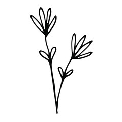 Hand drawn creative flower.  White background. Ink doodle illustration. Hand-drawn vintage, minimalistic black flower. Beautiful vector illustration.