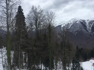 Snowy mountain landscape with trees and cloudy weather with clouds