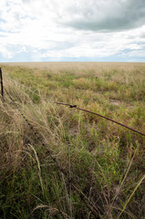 Northern Territory Top End Paddock with Barbed Wire fence