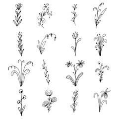 Set of hand drawn creative flower.  White background. Ink doodle illustration. Hand-drawn vintage, minimalistic black flower. Beautiful vector illustration.