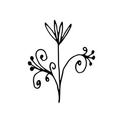 Hand drawn creative flower.  White background. Ink doodle illustration. Hand-drawn vintage, minimalistic black flower. Beautiful vector illustration.