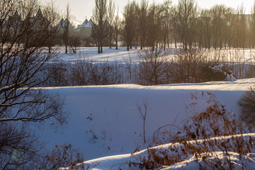 Winter landscape with ravine and plants in Kolomenskoye park on a clear frosty and sunny day.