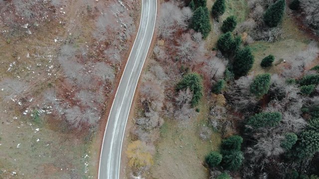 Tracking shot along an empty road through a forest