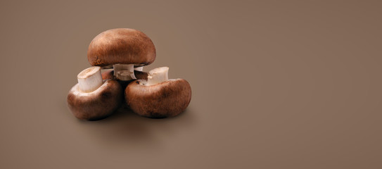 Fresh champignon mushrooms on a brown background with copy space for text,  panoramic image