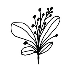 Hand drawn creative flower.  White background. Ink doodle illustration. Hand-drawn vintage, minimalistic black flower. Beautiful vector illustration.