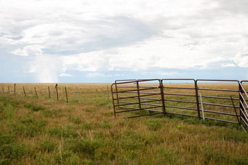 Northern Territory paddock & fence - Australia 