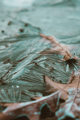 Frost is here. The beauty of the frozen nature.