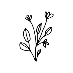 Hand drawn creative flower.  White background. Ink doodle illustration. Hand-drawn vintage, minimalistic black flower. Beautiful vector illustration.