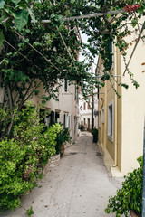 Fototapeta na wymiar September 2018, cozy narrow streets of Gaios with a lot of vegetation
