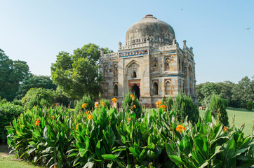Shish Gumbad Tomb and flowers in Lodhi Gardens (Delhi, India) - 306341630