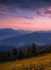 Naklejka na ściany i meble awesome morning scene, beautiful summer colorful image, attractive view of hills covered of trees on background dawn sunlight, fantastic mountains vertical landscape in Europe, Carpathians, Ukraine