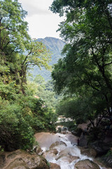 Neer Garh Waterfall surrounded by trees and mountains
